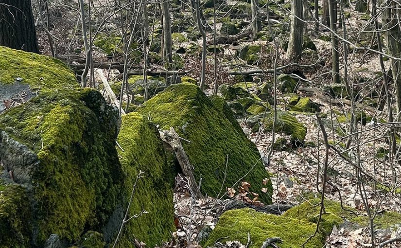 Bakancsos-túra a Mecsekben